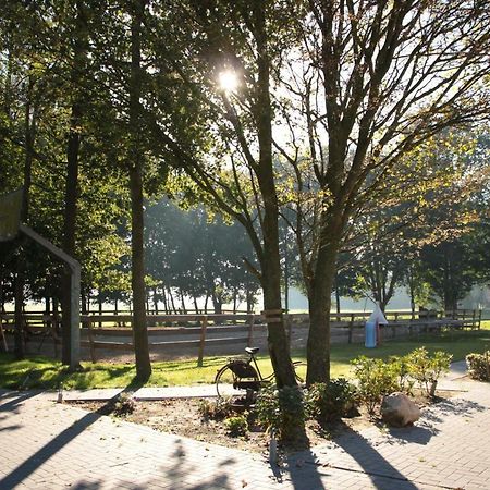 Hoeve Blitterswijk Scheerwolde Dış mekan fotoğraf
